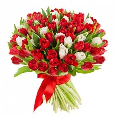 картинка Букет из тюльпанов "Красные и белые" от магазина daflor