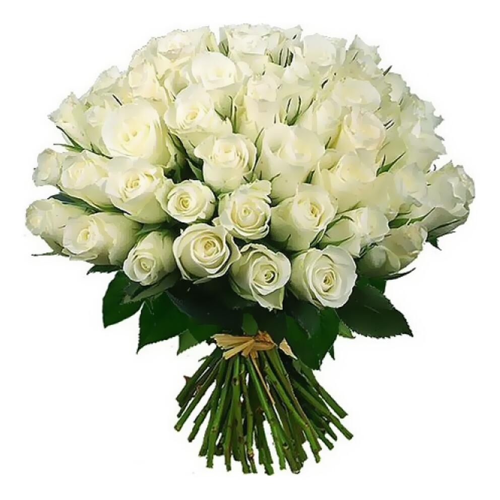 картинка Белые розы Atena от магазина daflor