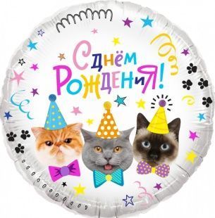 Воздушный шар "С днем рождения. Котики" Ш59