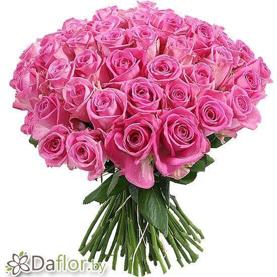 картинка Розовые розы от магазина daflor