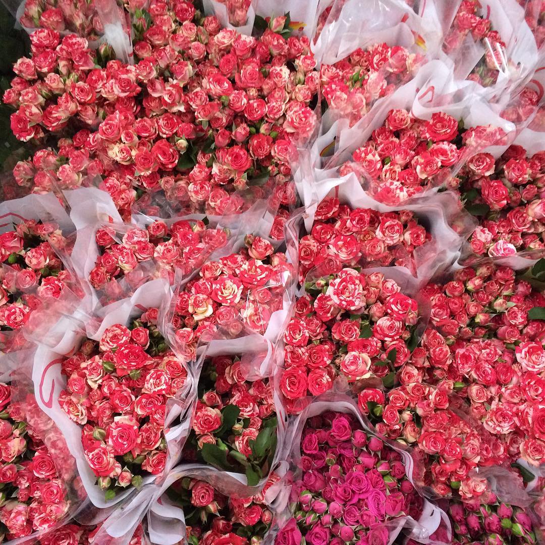 картинка Кустовые розы "Красно-белые" от магазина daflor