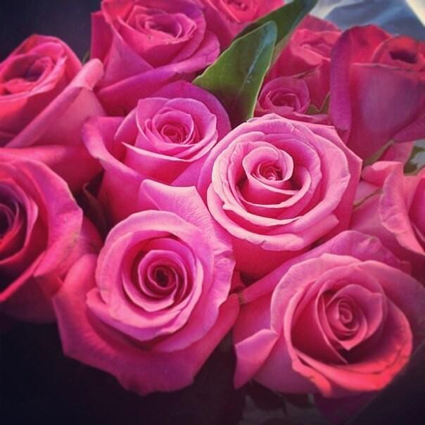 картинка Розовые розы от магазина daflor