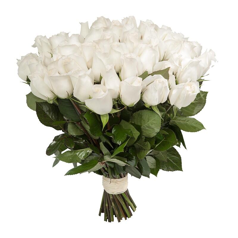 картинка Белые розы Akito от магазина daflor