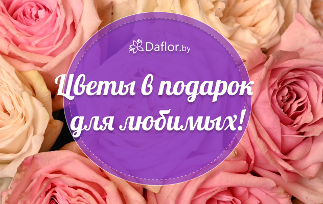 14 февраля: Идеальный подарок, который вы ищете, уже найден