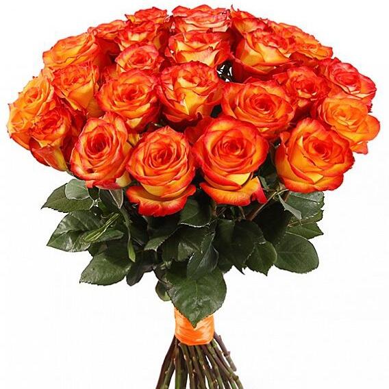 картинка Желтые розы High Orande от магазина daflor