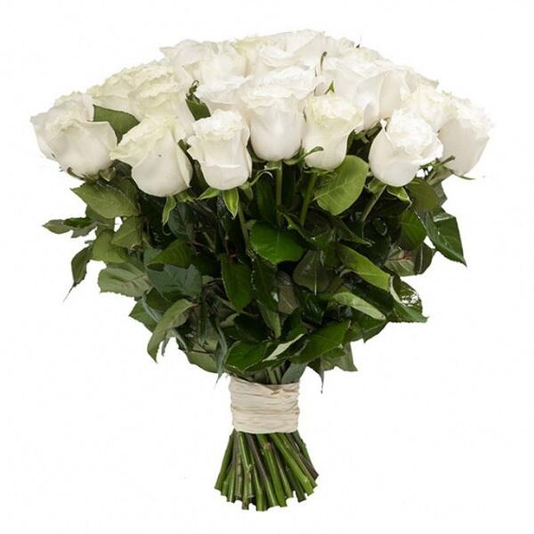 картинка Белые розы Proud от магазина daflor