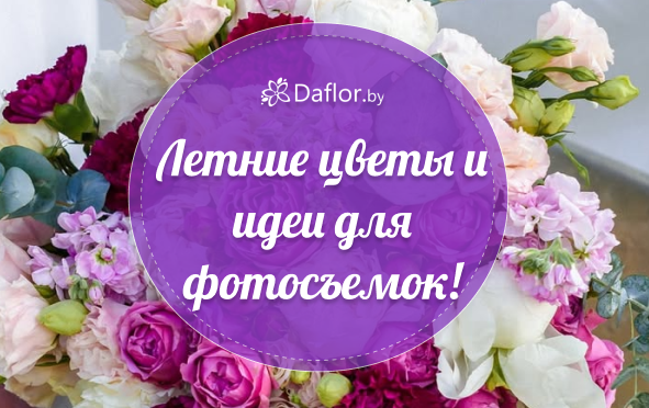 Цветочный калейдоскоп июля: лучшие летние цветы и идеи для фотосъемок