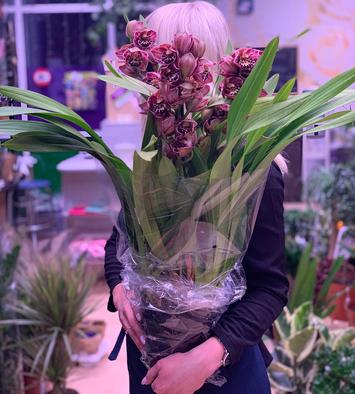 картинка Орхидея Цимбидиум Р325 от магазина daflor