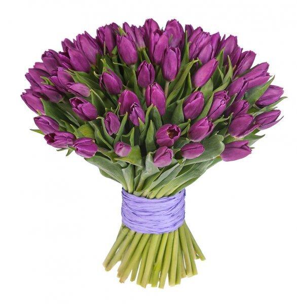 картинка Тюльпаны фиолетовые от магазина daflor