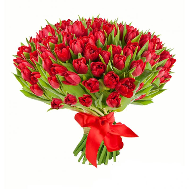 картинка Тюльпаны красные от магазина daflor