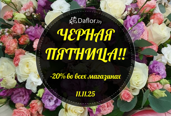 11.11 — День больших скидок в оффлайн-магазинах сети!