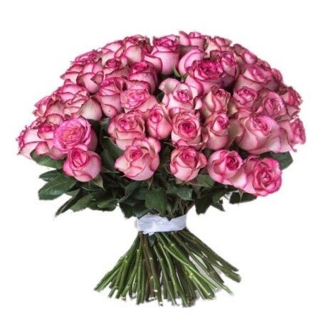 картинка Цветные розы Сarusel от магазина daflor