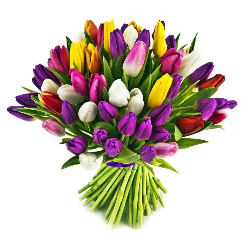 картинка Букет из тюльпанов "Микс тюльпанов" от магазина daflor