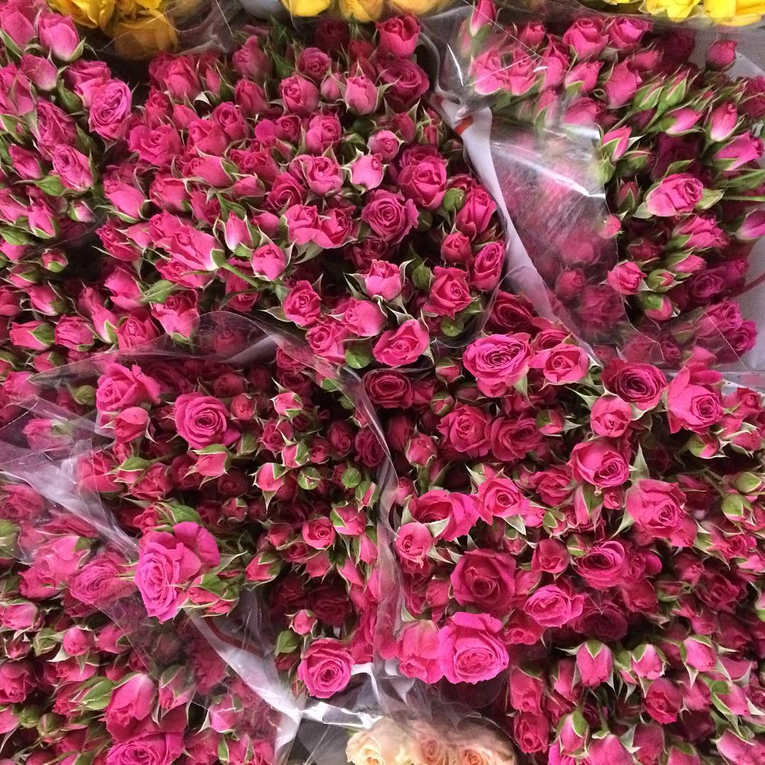 картинка Кустовые розы "Розовые" от магазина daflor