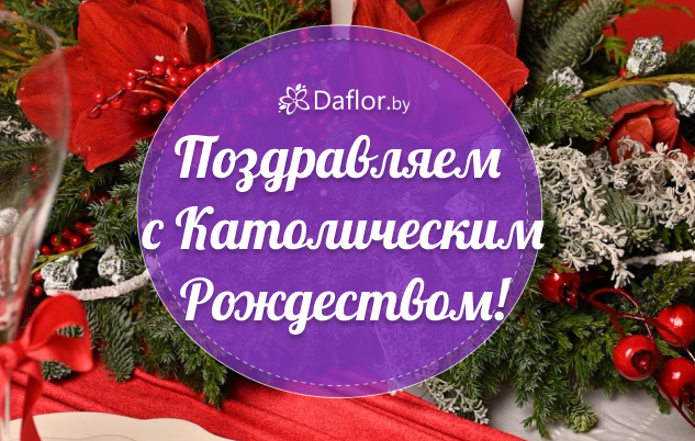 Поздравляем с католическим Рождеством!