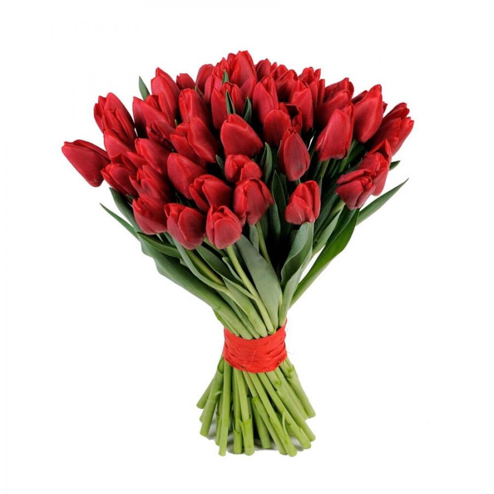 картинка Букет из Красных тюльпанов от магазина daflor