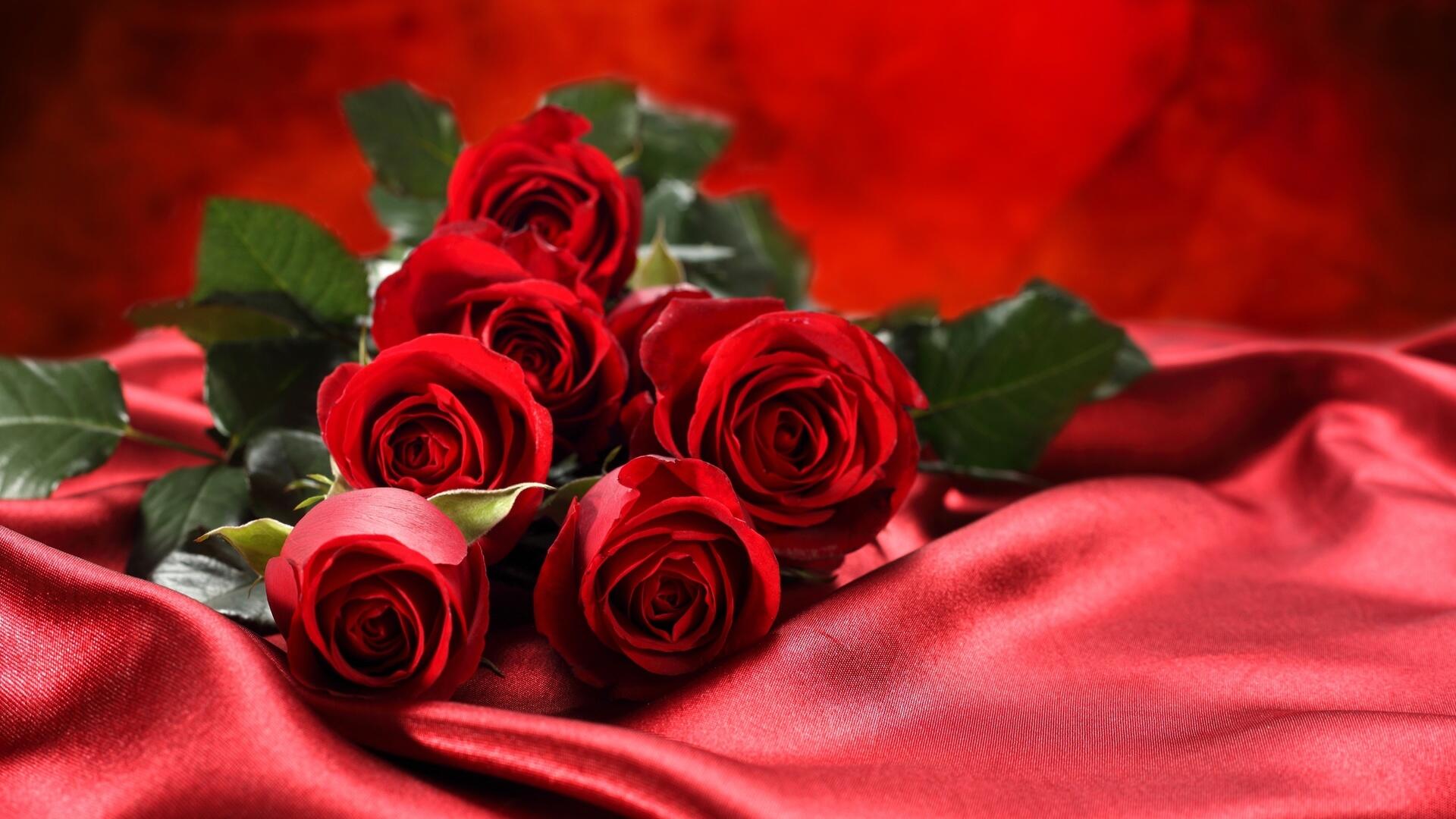 К чему дарят красные розы: символика, приметы и значение