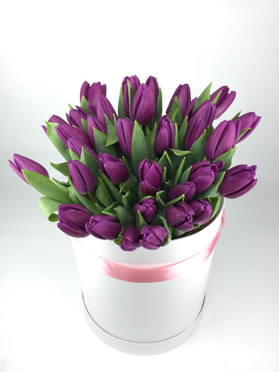 Фиолетовые тюльпаны к чему. Тюльпаны в коробке. Фиолетовые тюльпаны в коробке. Букет фиолетовых тюльпанов в коробке. Коробка с тюльпанами фиолетовый.