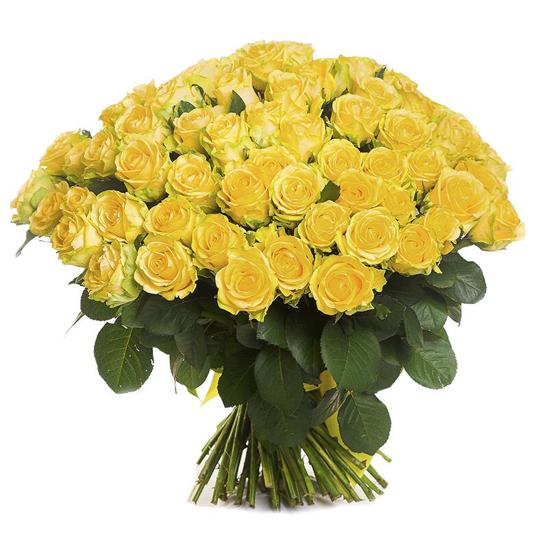 картинка Желтые розы Penny Lane от магазина daflor