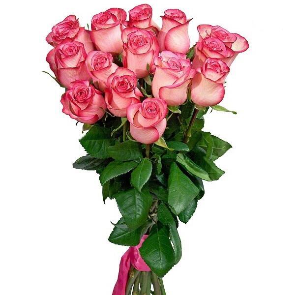 картинка Цветные розы Paloma от магазина daflor