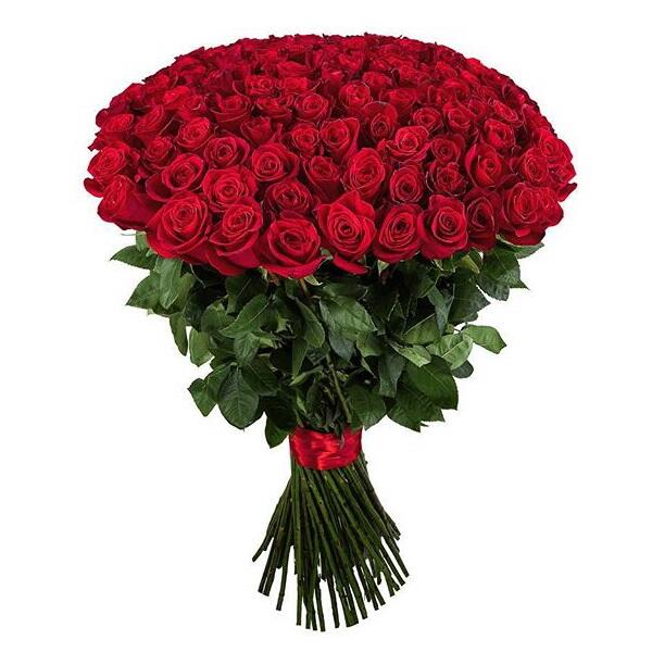 картинка Красные розы Prestig от магазина daflor