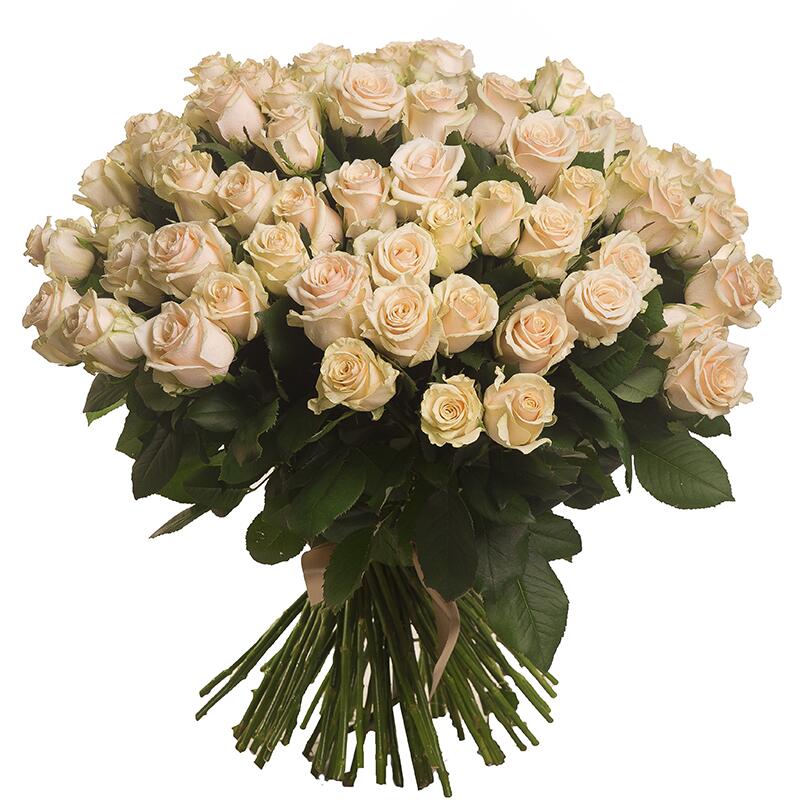 картинка Белые розы Talea от магазина daflor