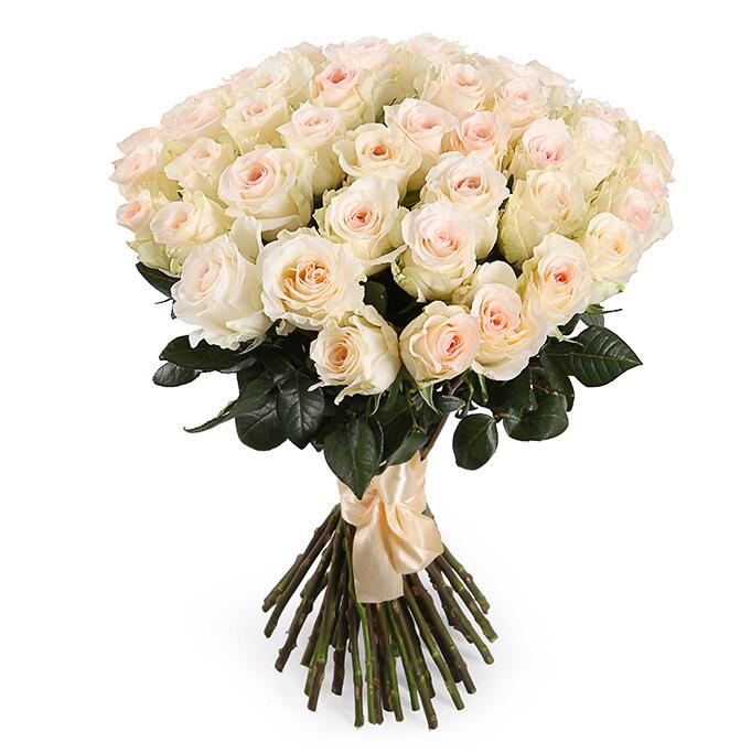 картинка Белые розы Senorita от магазина daflor