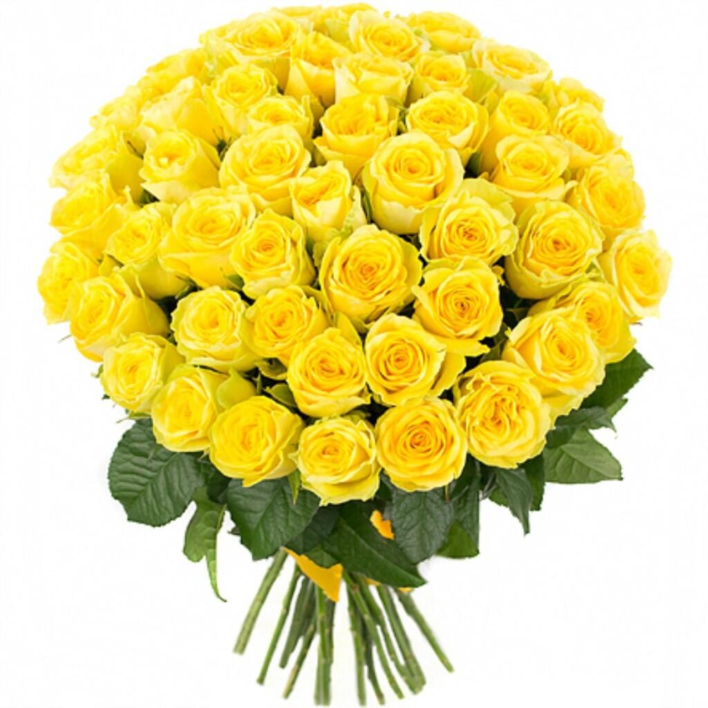 картинка Желтые розы от магазина daflor