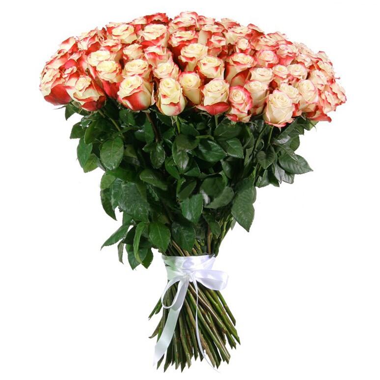 картинка Букет роз Switnes от магазина daflor