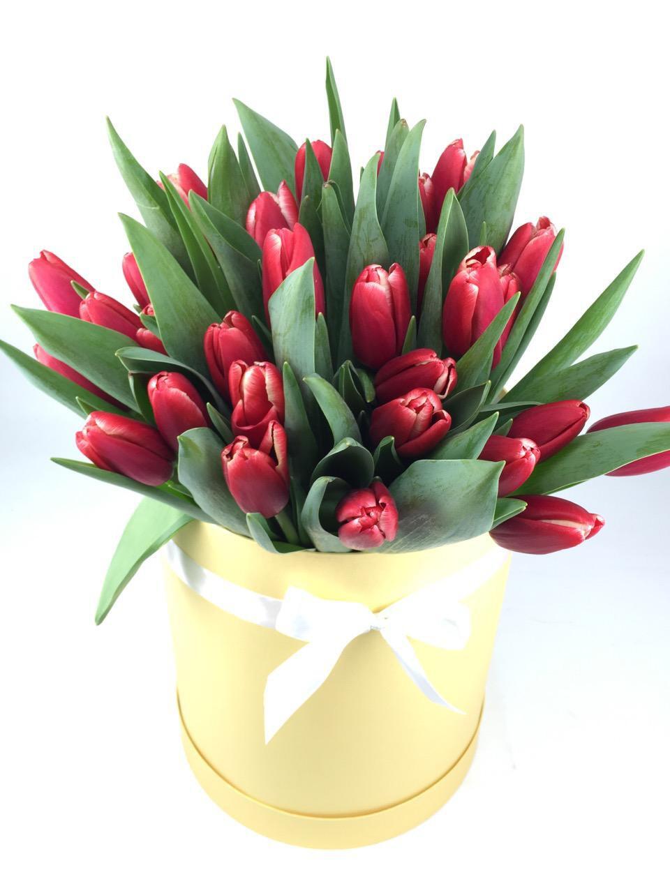 картинка Красные тюльпаны в коробке от магазина daflor