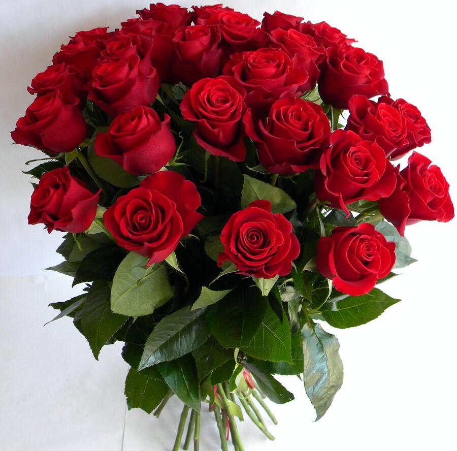картинка Красные розы от магазина daflor