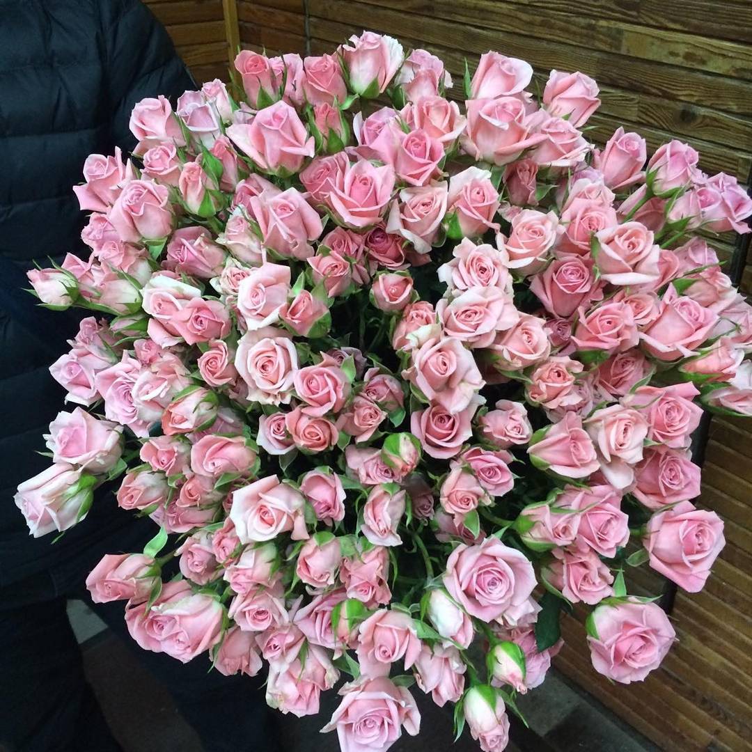 картинка Букет 35 кустовых розовых роз от магазина daflor