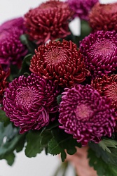 Хризантема Бигуди С703