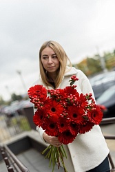 Букет из красных гербер с гиперекумом Fall Vibes