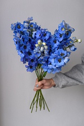 Дельфиниум синий D923