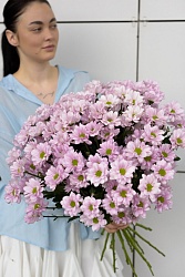 Монобукет из розовых ромашковых хризантем С918