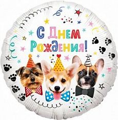 Воздушный шар "С днем рождения. Собачки" Ш66