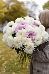 Букет-микс с хризантемами С717