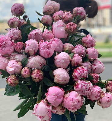 Пион (1шт)