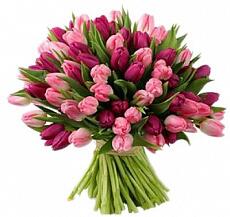 Букет из тюльпанов "Розовые и фиолетовые"