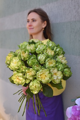Букет из роз Вегги (Veggie)