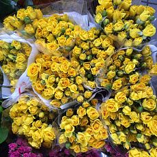 Кустовые розы "Желтые"