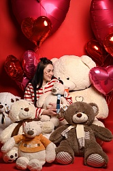 Медведи в ассортименте