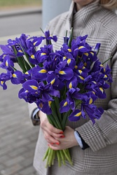 Монобукет из синих ирисов