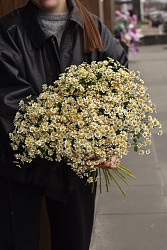 Букет из ромашек