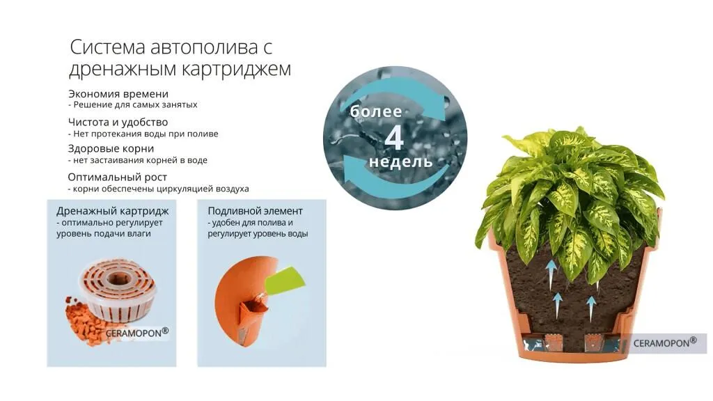 картинка Горшок для цветов Latina от магазина daflor