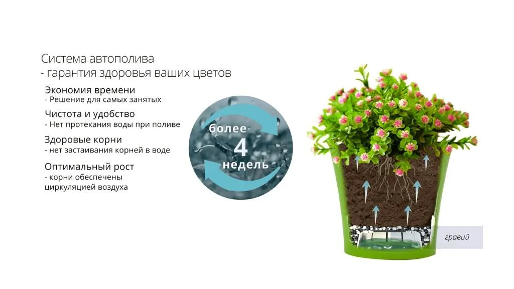 картинка Горшок для цветов Arte от магазина daflor