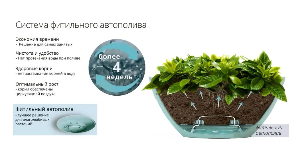 картинка Горшок для цветов Calipso от магазина daflor