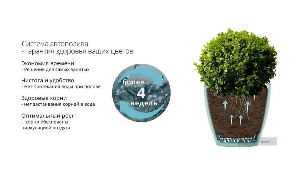 картинка Горшок для цветов Deco от магазина daflor