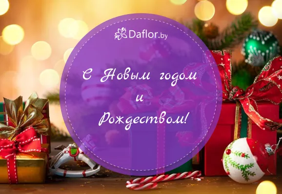 С НОВЫМ ГОДОМ И РОЖДЕСТВОМ!